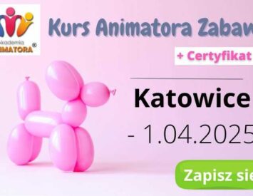 Kurs Animatora Czasu Wolnego Dzieci Katowice